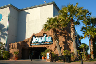 Aquarium Restaurant