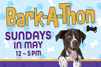 BARK-A-THON