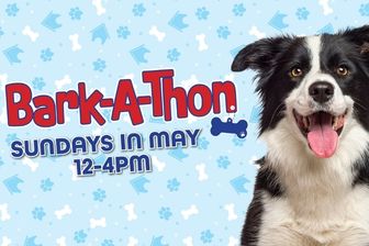 BARK-A-THON